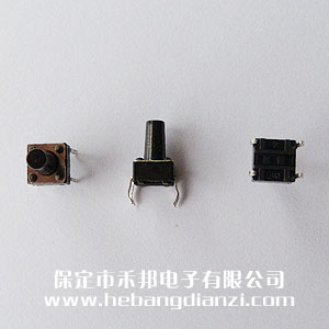 轻触开关(guān)6*6*10mm